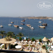 фото из отзыва ID 1643726