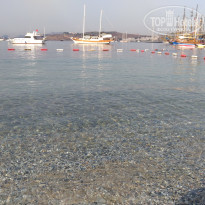 фото из отзыва ID 1643726