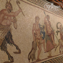 фото из отзыва ID 1643834