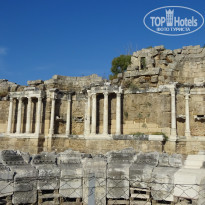 фото из отзыва ID 1643970