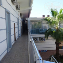 фото из отзыва ID 1643970