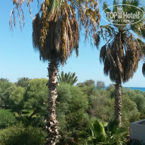 фото из отзыва ID 1644195