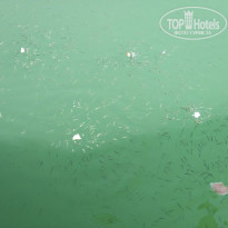 фото из отзыва ID 1644316