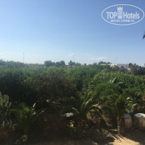 фото из отзыва ID 1644402