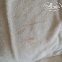 фото из отзыва ID 1644595