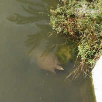 фото из отзыва ID 1644662