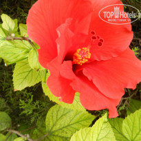 фото из отзыва ID 1644902