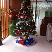 фото из отзыва ID 1645069