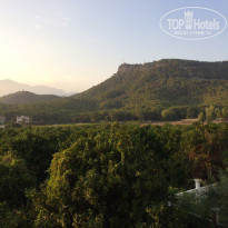 фото из отзыва ID 1645279