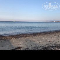 фото из отзыва ID 1645344