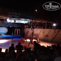 фото из отзыва ID 1645371