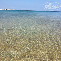 фото из отзыва ID 1645560