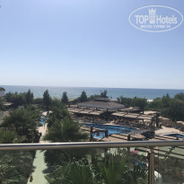 фото из отзыва ID 1645572