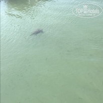 фото из отзыва ID 1645572