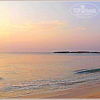 фото из отзыва ID 1645707