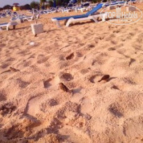 фото из отзыва ID 1645707