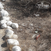 фото из отзыва ID 1645871