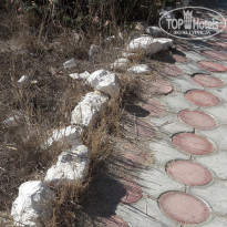 фото из отзыва ID 1645871