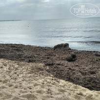 фото из отзыва ID 1645968