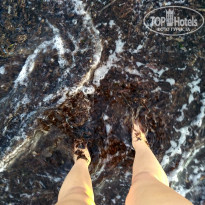 фото из отзыва ID 1645968