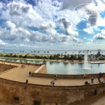 фото из отзыва ID 1646034