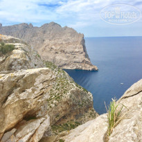 фото из отзыва ID 1646034