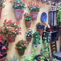 фото из отзыва ID 1646034