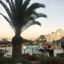 фото из отзыва ID 1646060