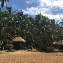 фото из отзыва ID 1646084