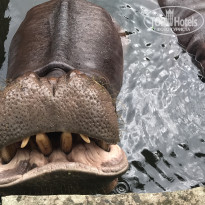 фото из отзыва ID 1646084