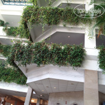 фото из отзыва ID 1646099