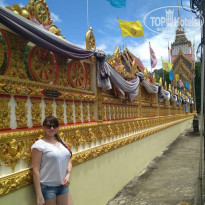 фото из отзыва ID 1646110