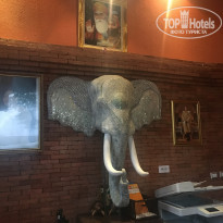 фото из отзыва ID 1642545