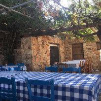 фото из отзыва ID 1646194