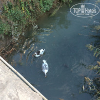 фото из отзыва ID 1646263