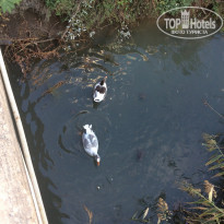 фото из отзыва ID 1646263