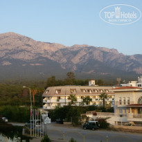 фото из отзыва ID 1646285