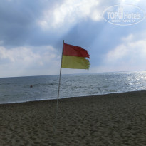 фото из отзыва ID 1646340