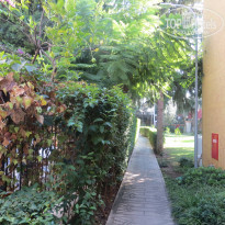 фото из отзыва ID 1646408