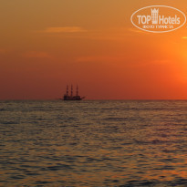 фото из отзыва ID 1646408