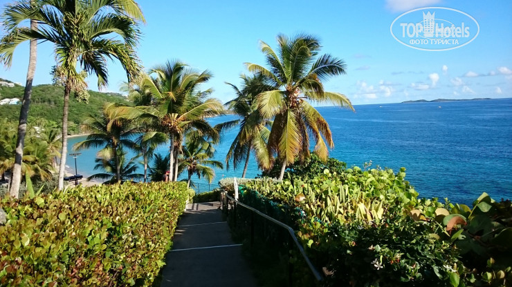 New photos from tourists Frenchmans Reef & Morning Star Marriott Beach Resort 4*