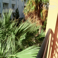 фото из отзыва ID 1646499