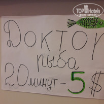 фото из отзыва ID 1646659