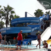 фото из отзыва ID 1646659