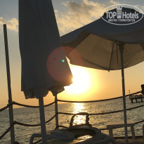 фото из отзыва ID 1646739