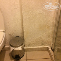 фото из отзыва ID 1646751