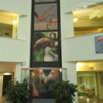 фото из отзыва ID 1646979