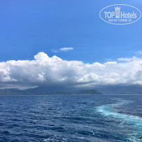 фото из отзыва ID 1646989