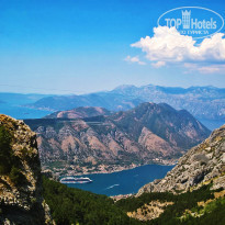 фото из отзыва ID 1647021