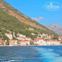 фото из отзыва ID 1647021